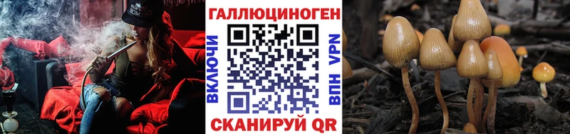 Псилоцибиновые грибы Cubensis  закладка  Павлово 