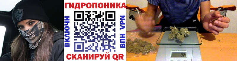 Марихуана Bruce Banner  как найти закладки  Павлово 